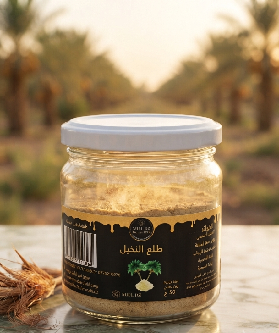 طلع النخيل 1 طلع النخيل