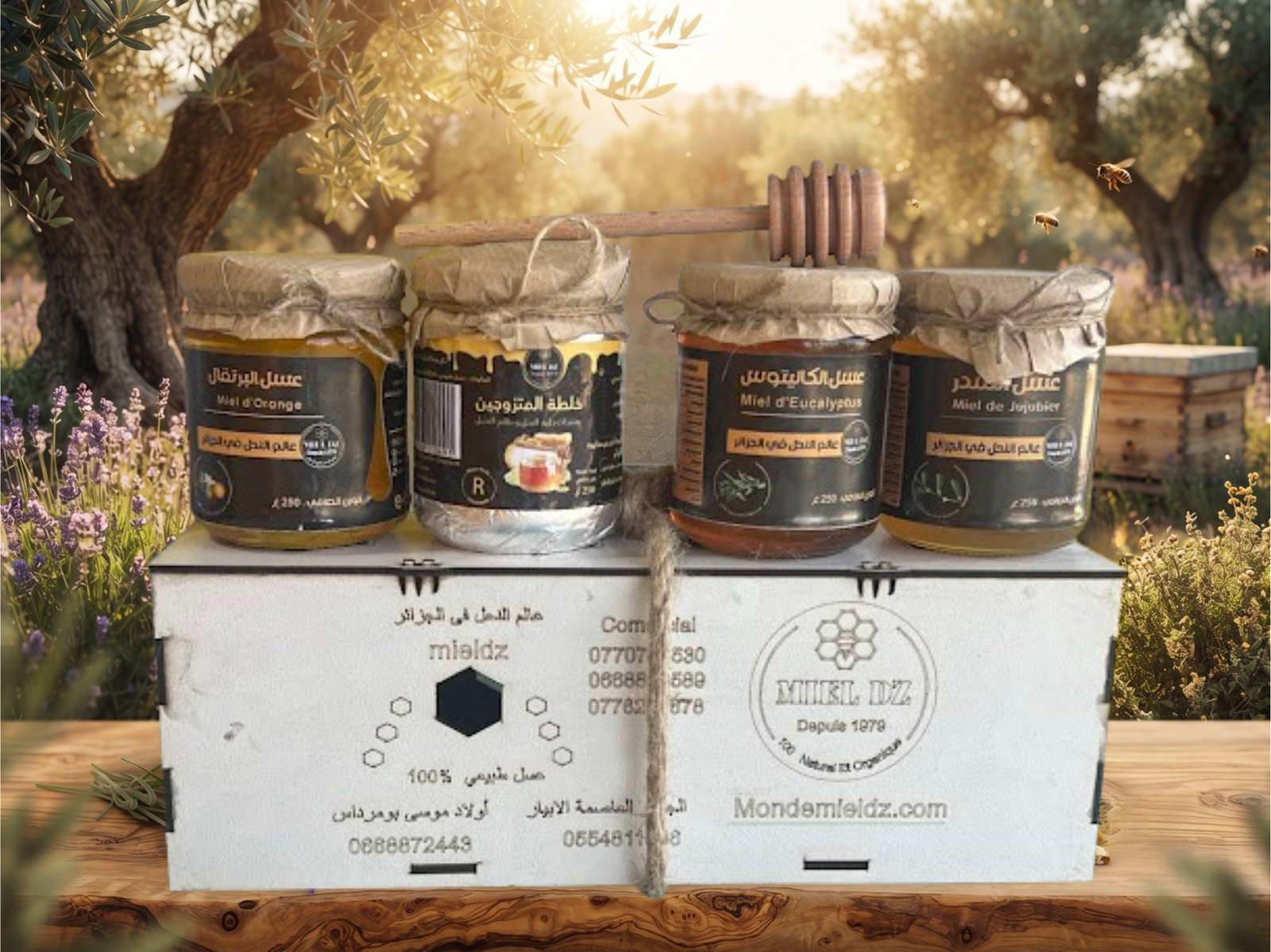 مجموعة 3 أنواع عسل طبيعية للعناية بالصحة + خلطة المتزوجين 1 مجموعة 3 أنواع عسل طبيعية للعناية بالصحة + خلطة المتزوجين