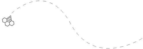 مجموعة 6 انواع عسل طبيعية
